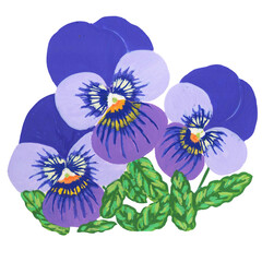 Pansy flowers in the form of heart