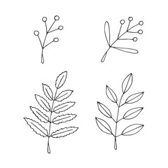 Autumn twigs and leaves set, hand drawing, vector illustration