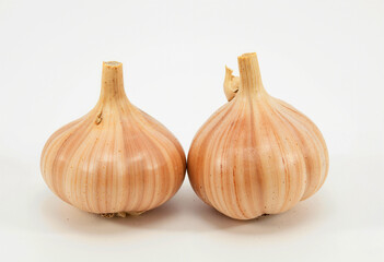 Two garlic bulbs isolated on white background, fresh and organic, healthy ingredient