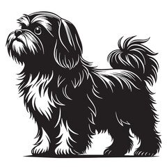 black shihtzu Silhouette Vector, High Quality Illustration on White Background