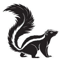 black skunk Silhouette Vector, High Quality Illustration on White Background