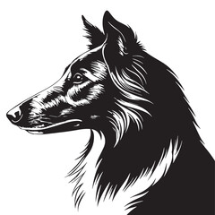 black smooth collie Silhouette Vector, High Quality Illustration on White Background