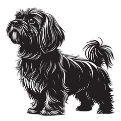 black shihtzu Silhouette Vector, High Quality Illustration on White Background