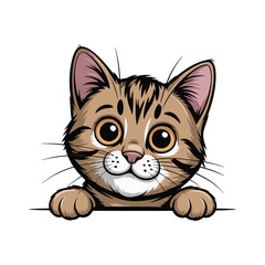 dorable cartoon tabby cat peeking over a white surface