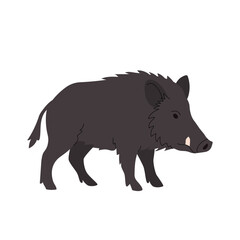 Flat illustration of a wild boar in side profile with dark brown bristly fur and visible tusks. Simple cartoon style, ideal for forest animal themes, educational content, and childrens nature books