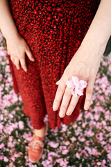 Hand with pink sakura flower ring over red dress and fallen blossoms
