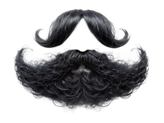 Black curly mustache beard isolated on white background