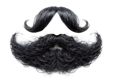 Black curly mustache beard isolated on white background