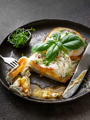 bruschetta with cottage cheese, poached egg and basil