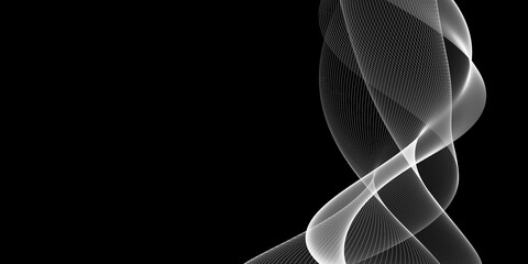 Dynamic abstract illustration in black and white, showcasing flowing curves and smooth lines
