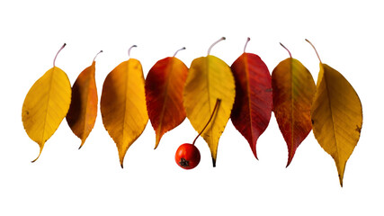 Autumnal Transition A Row of Colorful Leaves and a Single Berry