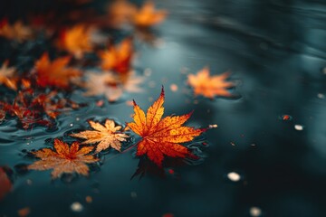 Floating autumn leaves in dark water, reflecting colors