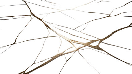 Abstract Network of Branches, Intricate Branching Pattern, Natural Texture Background