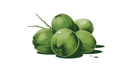 Fresh Green Coconuts Cluster Illustration