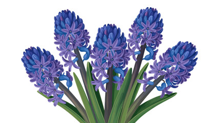 Vibrant Blue Hyacinth Bouquet - Spring Flower Illustration