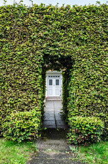 Charming Garden Entrance Framed by Lush Greenery Leading to a White Door, Bjorno, Denmark