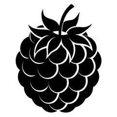 Raspberry vector clean black silhouette design white background