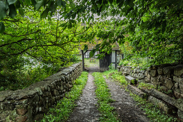 Pathway Leading to a Quaint House Through Leafy Greenery, Bjorno, Denmark