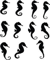 Silhouette Sea Horse for Ocean Design
