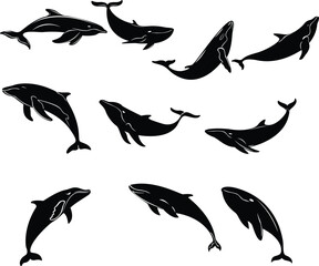 Marine Whale Silhouette Artwork