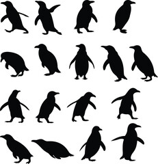 Obraz premium Penguin Silhouette Marine Wildlife Poster