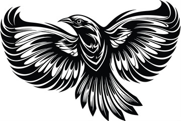 Striking black bird soars with its wings spread wide against a white backdrop