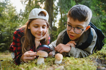 Curious children exploring mushrooms with magnifying glass in forest