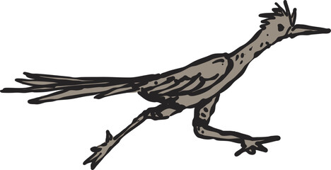 wild bird running illustration drawing vector
