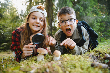 Young explorers observing mushrooms with magnifying glass in forest