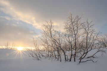 The sun rises over a snowy landscape, its rays shining through the clouds and illuminating the...