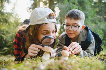 Young explorers observing mushrooms with magnifying glass in forest