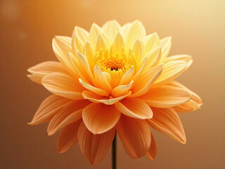 "Gradient inspired by dahlia petals in golden light. Amber, soft marigold, and pale cream layers blending like glowing petals under a sheer veil.