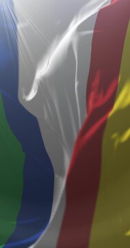 Misiones Province Flag, Argentina. Loop. 4K Vertical