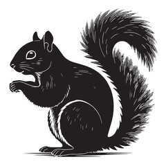 black squirrel Silhouette Vector, High Quality Illustration on White Background