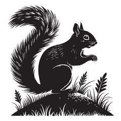 black squirrel Silhouette Vector, High Quality Illustration on White Background