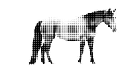 Halftone illustration of a horse, symbol of 2026, black and white dotted style, retro pop art effect, isolated on white background, modern graphic design, decorative animal artwork.