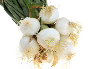 Botte d'oignons nouveaux crus en gros plan sur fond blanc