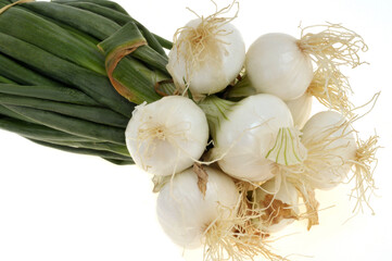 Botte d'oignons nouveaux crus en gros plan sur fond blanc