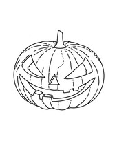 pumpkin on a white background