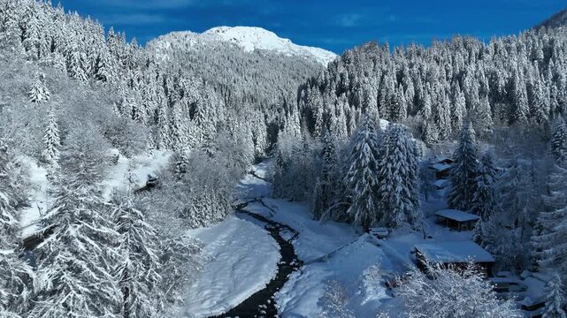 Chamonix Christmas, winter in the French Alps, snowy ski winter holiday, winter wonderland, skiing in the French Alps