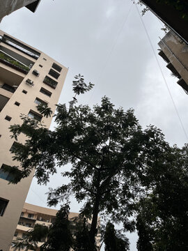 High rise building in the city