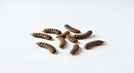 A minimalist studio shot of dried senna pods on a clean white backdrop