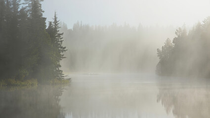 Fototapeta premium Misty forest lake at sunrise with tranquil atmosphere 