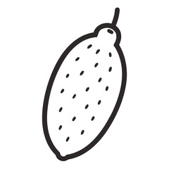 finger lime line art vector on-white