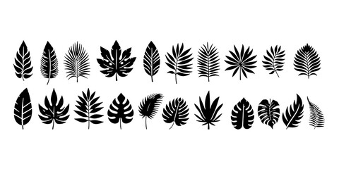 Tropical leaves silhouette collection for graphic design, nature, and summer concepts. tropical leaf Vector illustration with monochrome foliage © thrash