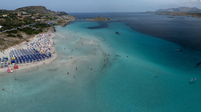 Aerial view of the turquoise waters meet the sandy shores of La Pelosa Beach, where colorful umbrellas dot the landscape against the backdrop of Capo Falcone, Stintino, Sardinia, Italy.