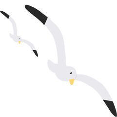 seagull flying over white background