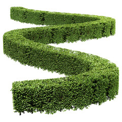 The Rectangular Cropped Hedge Cotoneaster 