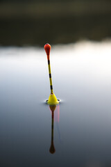 Fishing, float in the water. Waiting for the fish to signal a bite.
