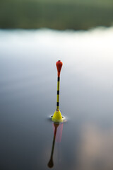 Fishing, float in the water. Waiting for the fish to signal a bite.
